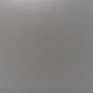 Meet your Posher, Eva